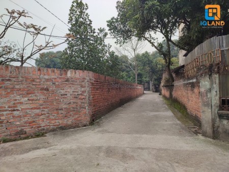 Hàng siêu đầu tư lô góc 1038M2 phân lô cực đỉnh Tân Minh Sóc Sơn. Giá 7.5tr/m2