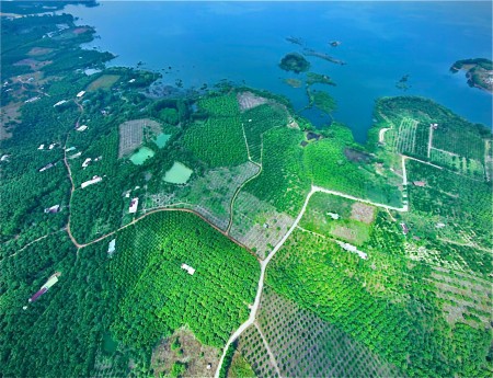 Bán nhanh 1000m2 đất cấy lâu năm ngay hồ Trị An, giá 800 triệu, bao sang tên công chứng