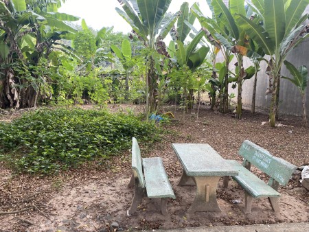 Đi đến slide 7