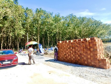 Đi đến slide 8