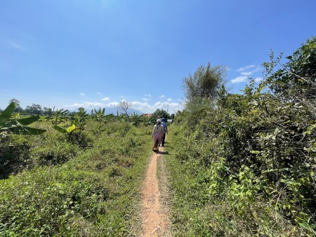  Bán nhanh đất ở nông thôn 12.000m2 đất trồng cây lâu năm Thị Xã Ninh Hoà.