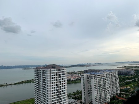 Đi đến slide 12