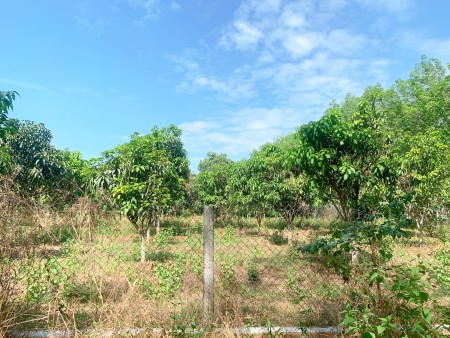 Đi đến slide 7