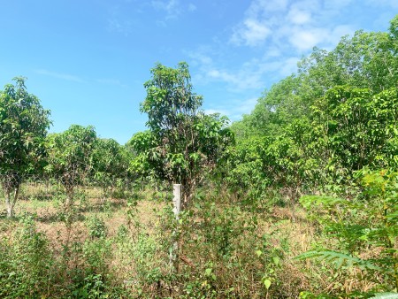 Đi đến slide 8