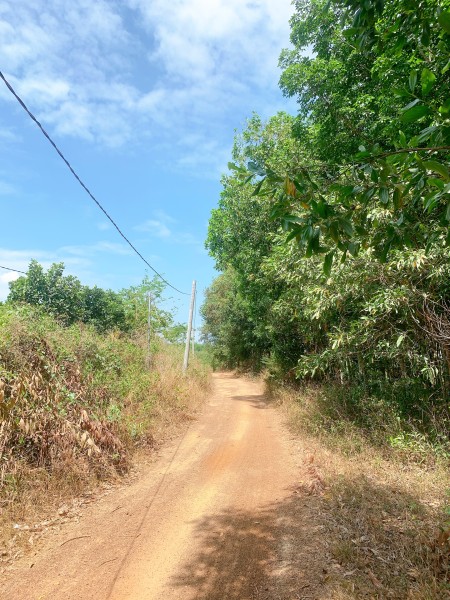 Đi đến slide 5