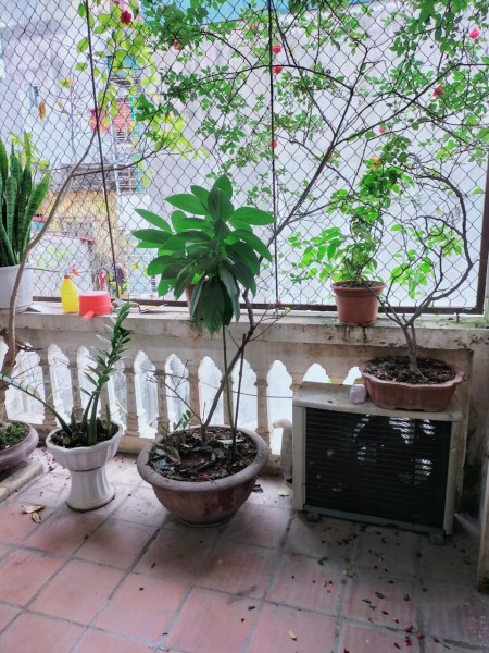Bán nhà siêu hiếm ngõ Gốc Đề Minh khai, HBT, 15m2, 4 tầng, giá 1.1 tỷ, 034493234