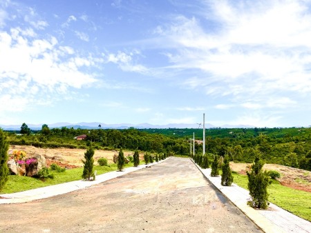 Bán đất chính chủ diện tích sử dungj 525m2, có sẵn Hồng và vườn rau tại đất, giá tốt, sổ riêng