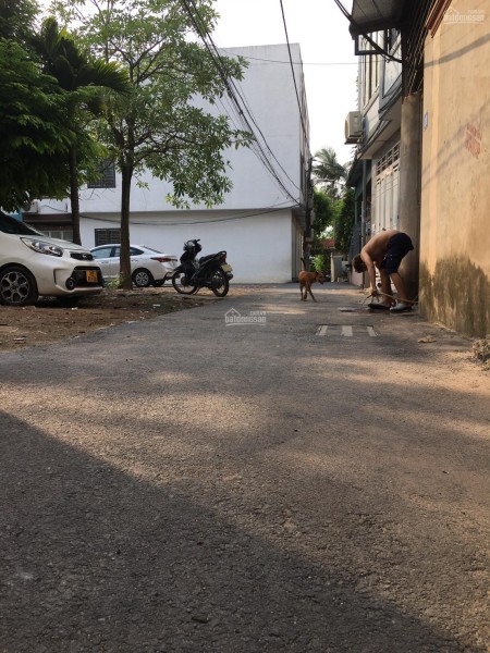 Đi đến slide 6