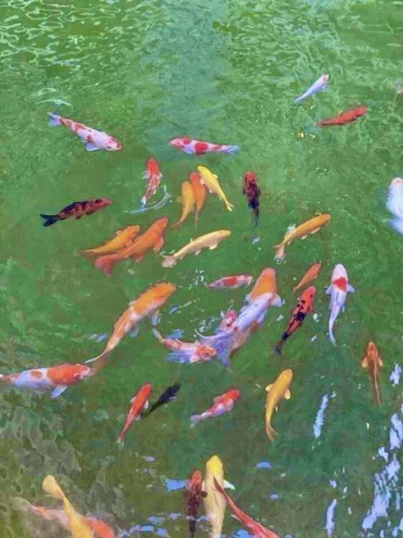Đi đến slide 8