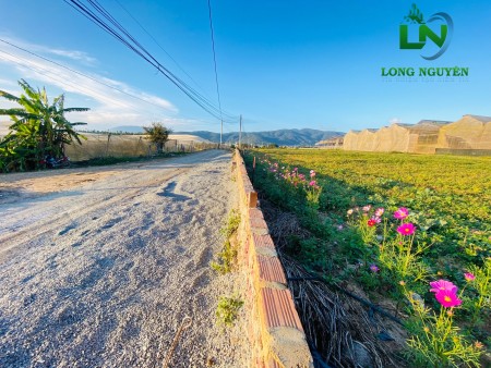 Chính chủ cần bán lô đát thị trân Thạnh Mỹ Đơn Dương, pháp lý đầy đủ, bàn giao ngay