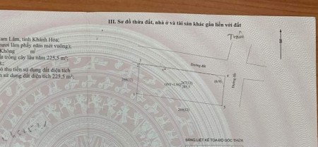 Bàn cờ Cam An Nam, diện tích sử dụng 290m2, cách LĐSM 50m, giá bán chỉ 4.5 tỷ