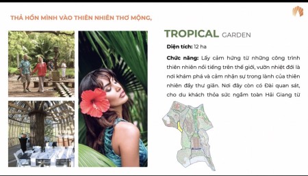 Đi đến slide 13