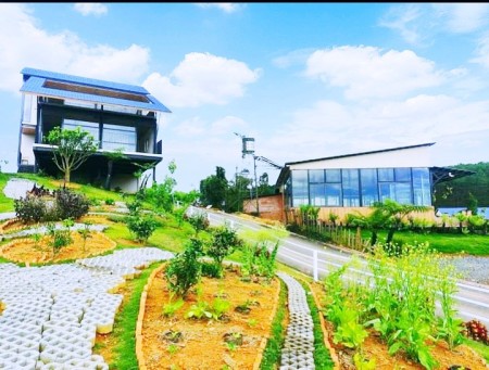 Đi đến slide 3