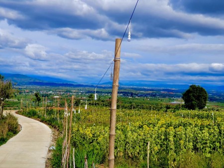 Đi đến slide 2