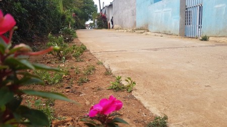 Đi đến slide 5