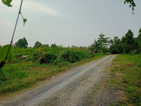 Bán đất thổ cư sổ hồng riêng Bình Mỹ Củ Chi diện tích gần 4000m2, khu dân cư đông đúc