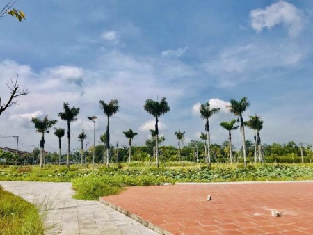 Dãy nền view công viên trung tâm, hướng Đông Nam pháp lý chính chủ, thanh toán linh hoạt