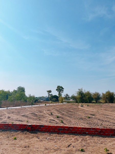 Cần tiền chữa bệnh chú Tư bán gấp 500m2 đất ngay UBND Phước Long Thọ giá đầu tư