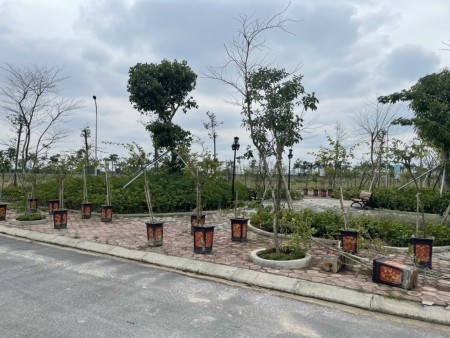 Đi đến slide 6