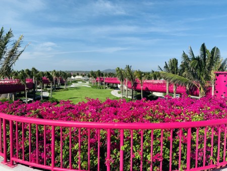 Đi đến slide 11