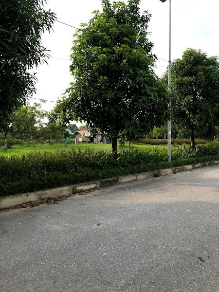 LÔ BIỆT THỰ HOT MẶT VƯỜN HOA KHU A NEW CITY PHỐ NỐI