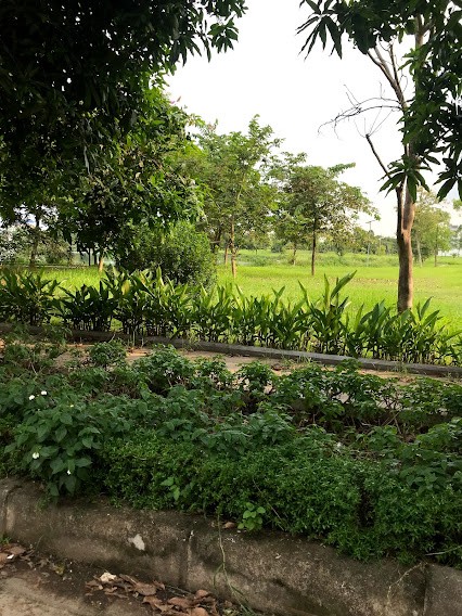 Đi đến slide 5