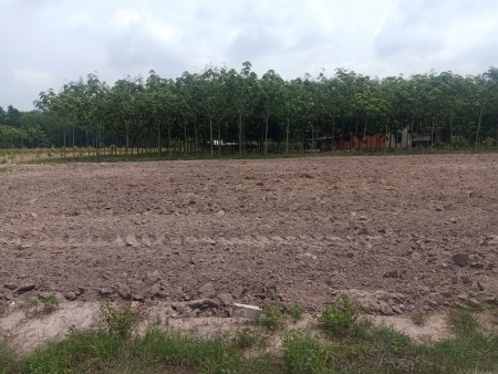 Bán đất giá rẻ Minh Thạnh Dầu Tiếng diện tích sử dụng 10x37 thổ cư 100%, pháp lý chuẩn