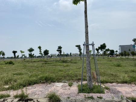 Đi đến slide 6