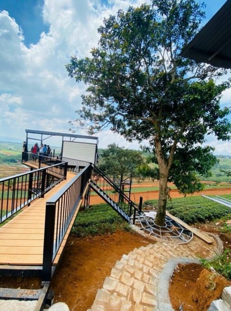 Đi đến slide 5
