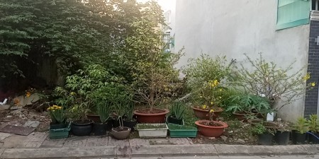 Chính chủ cho thuê đất ở, làm VP, nhà xưởng Tp.Thủ Đức