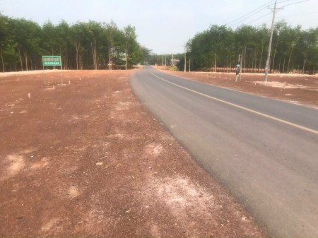 Bán gấp 2 lô đất sào dt 5×40 sổ sẵn công chứng sang tên ngay