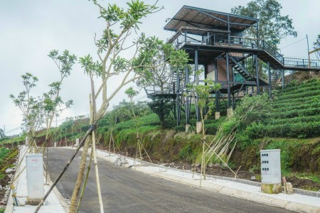 Có 300tr sở hữu ngay đất chính chủ đối diện đồi chè Tâm Châu, Full thổ cư, có ngân hàng cho vay 70%