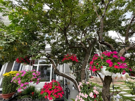 Bán Biệt Thự dtsd 463m2 Nhà Vườn Thủ Đức Garden Home, P. Hiệp Bình Phước, TP Thủ Đức