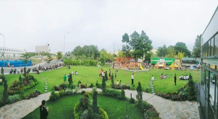 Đi đến slide 12