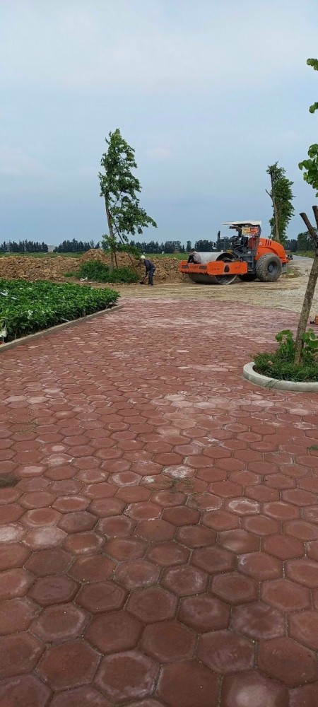 Đi đến slide 6