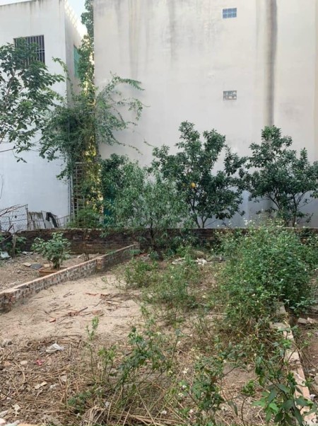 Chính chủ bán 101,5m2 Đan Kim, Liên Nghĩa, đường trước mặt rộng 10m giá 27 triệu/m2