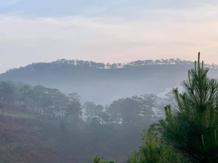 Đi đến slide 2