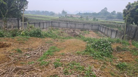 Đi đến slide 1