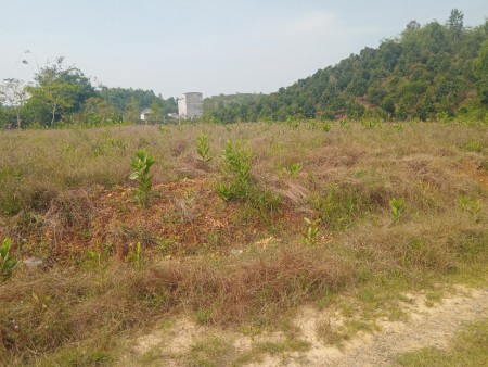 Đi đến slide 6