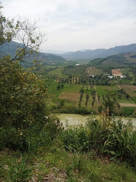 Đi đến slide 4