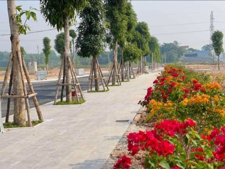 Đi đến slide 4