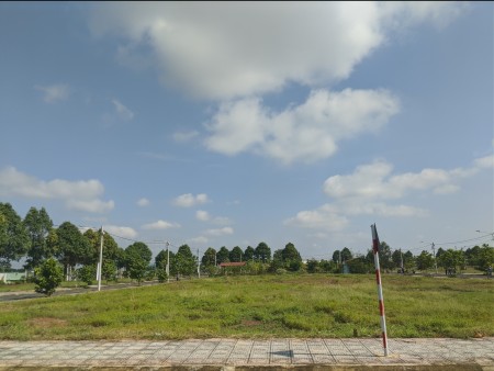 Đi đến slide 7