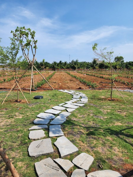 Đi đến slide 3