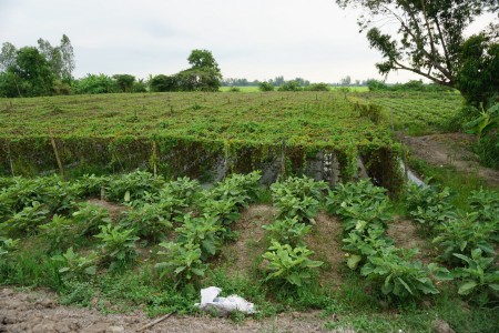 Đi đến slide 6