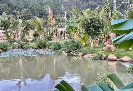 Đi đến slide 4