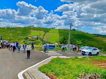 Đi đến slide 3