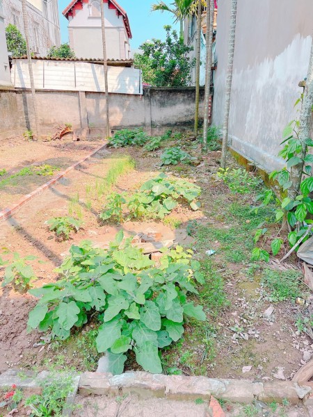 Chính chủ cần bán 48,2m2 đất thổ cư tại thôn La Thạch, xã Phương Đình, huyện Đan Phượng