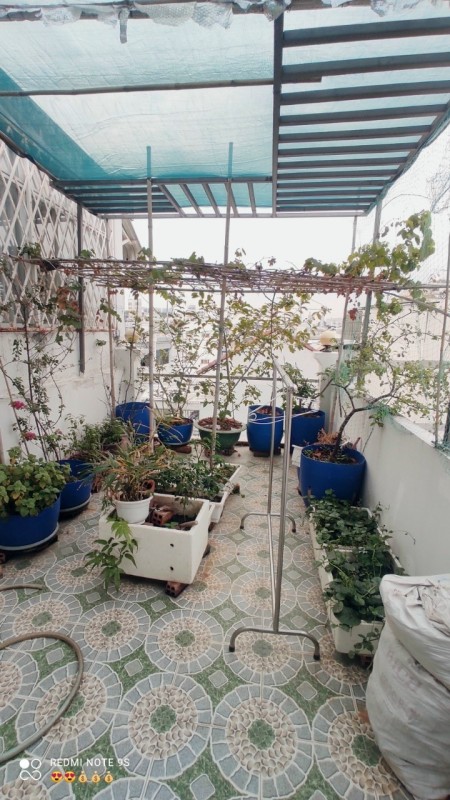 Nhà hẻm 4m Nguyễn Tri Phương 5 tầng chỉ 5,5 tỷ, tiện ích xung quanh trong bán kính 500m đầy đủ