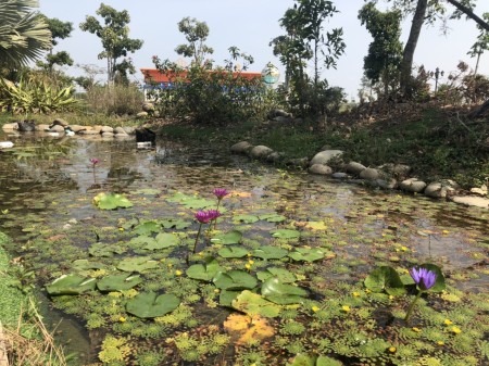 Đi đến slide 3