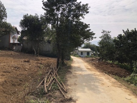Đi đến slide 1